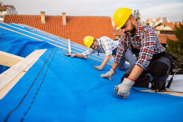 Best Roof Coating and Sealing  in Roebling, NJ